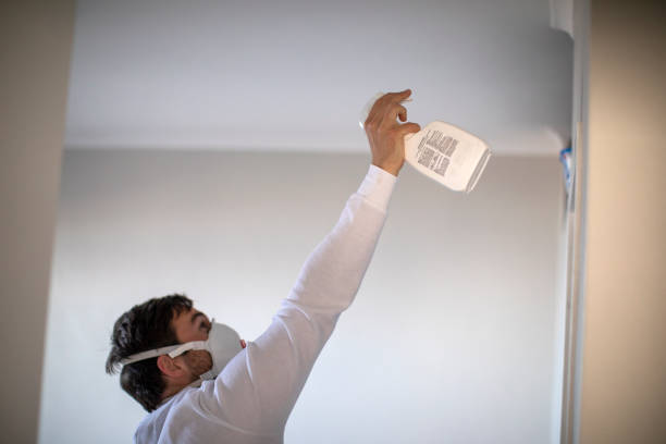 Best Mold Remediation for Specific Building Types in Elberta, AL