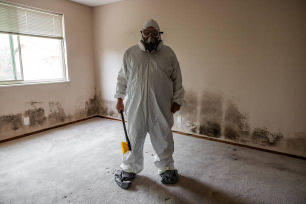 Best Post-Flood Mold Remediation in Elberta, AL